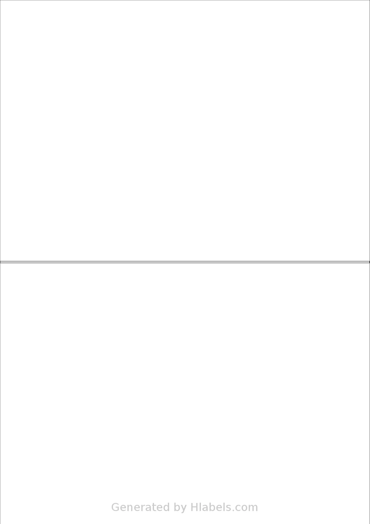 Megastar® LP4MS5-210148 template with 2 rectangular 210 x 148 millimeter labels per sheet, on A4-size adhesive blank label sheets.
