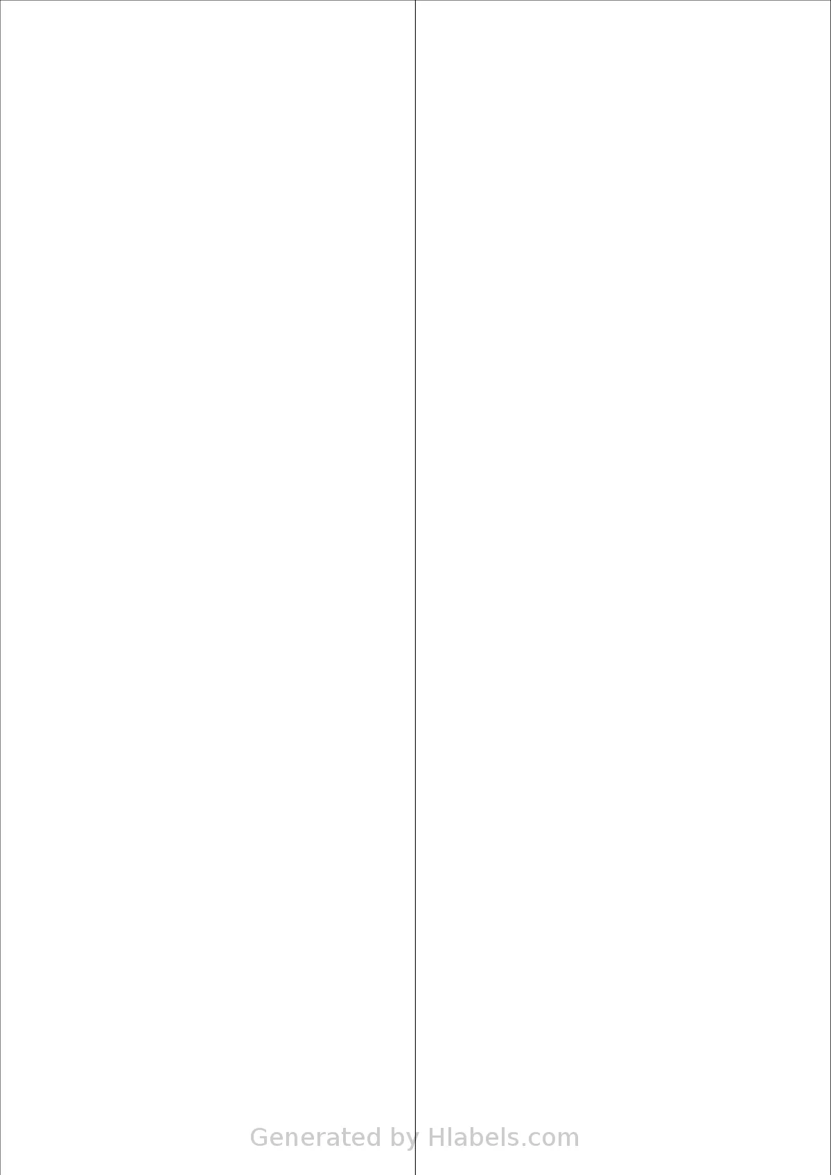 Sorex® 105297 template with 2 rectangular 105 x 297 millimeter labels per sheet, on A4-size adhesive blank label sheets.