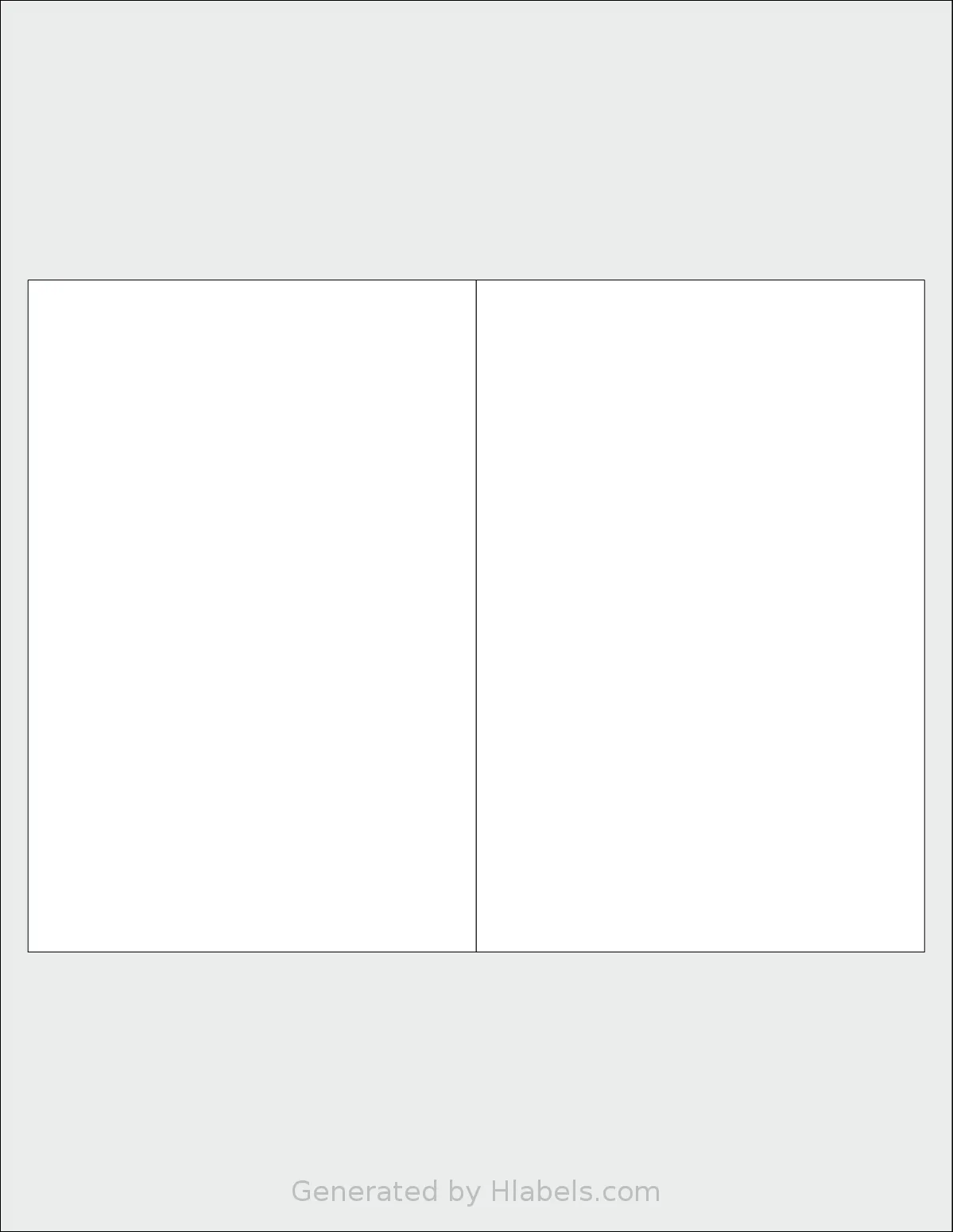 Kleertech® 2-UP template with 2 rectangular 4 x 6 inch labels per sheet, on Letter-size adhesive blank label sheets.